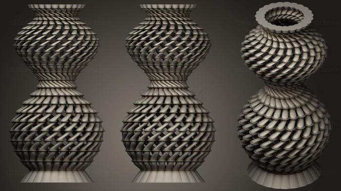 3D model Spiral Growth  Vase (STL)